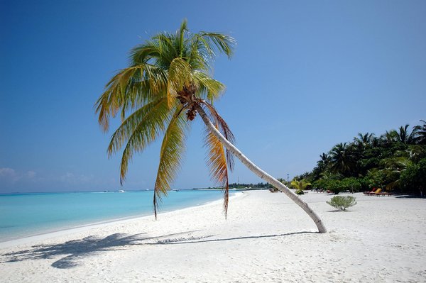 Découverte immersive des parcs de jeux à chambéry : entre aventures indoor et plaisirs en plein air