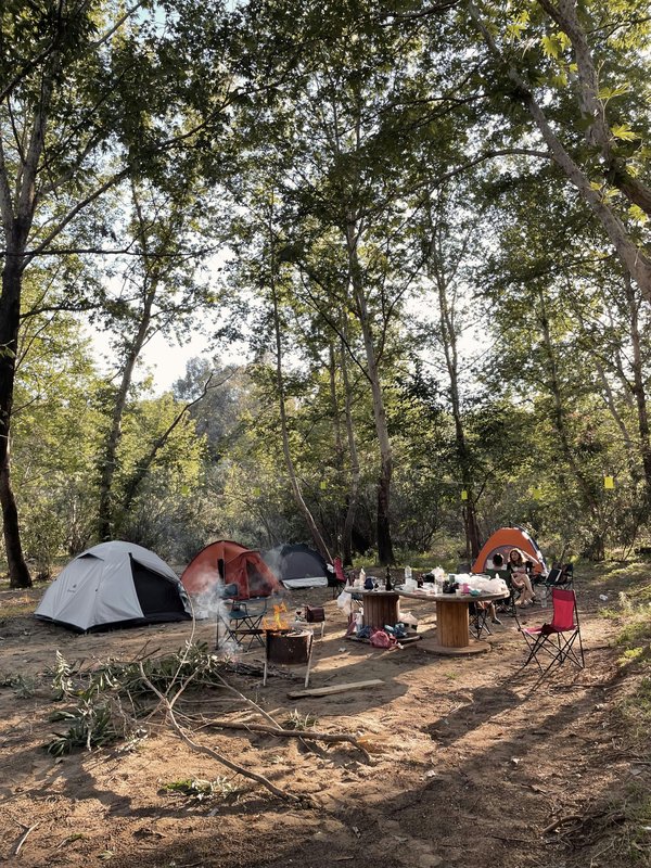 Camping gorges du verdon : top 3 sites pour un séjour parfait